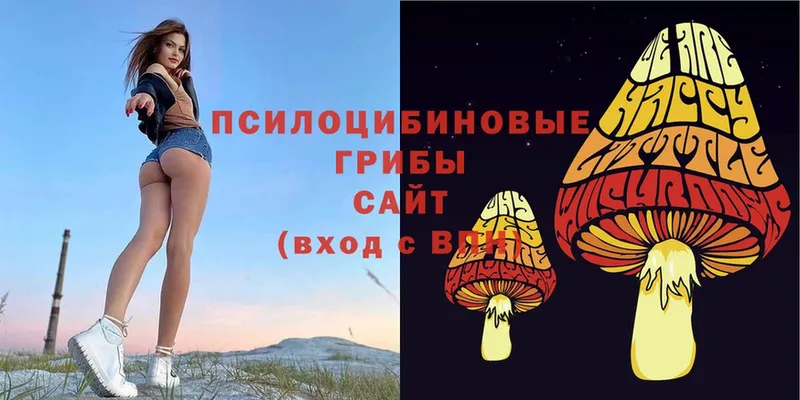 Псилоцибиновые грибы Magic Shrooms  магазин    Алзамай 